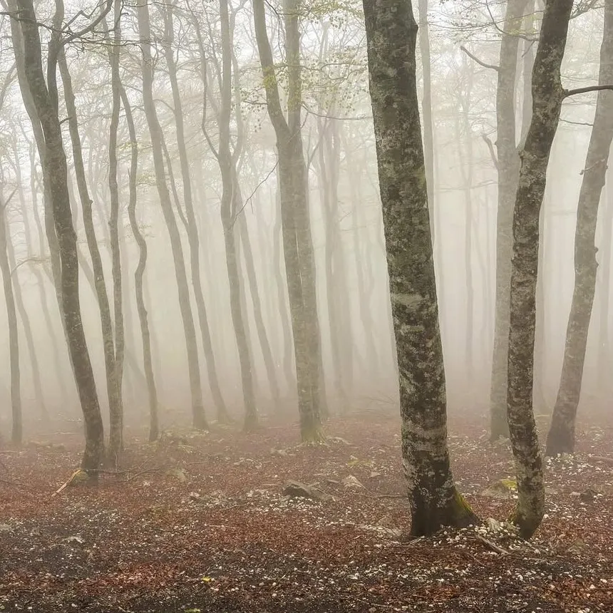 Axel Ronsin | 100 days of light, day 22