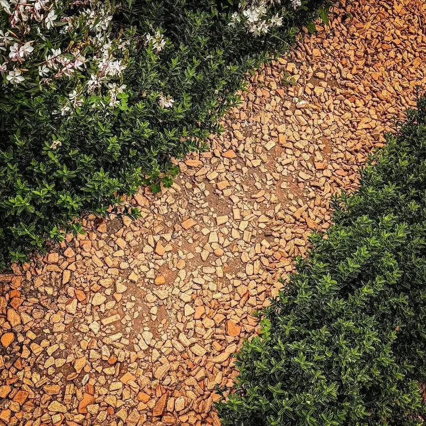 Axel Ronsin | 100 days of light, day 77